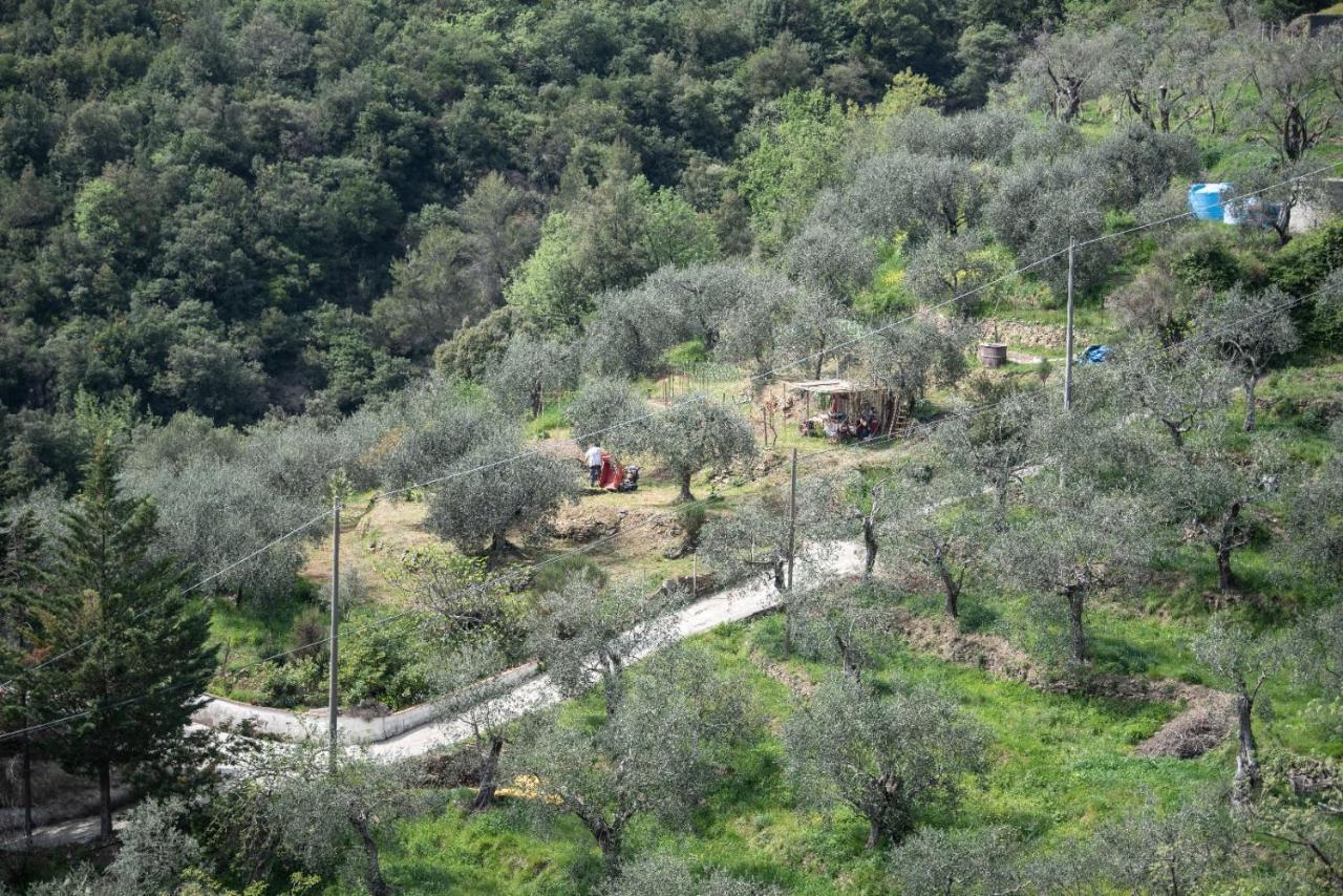Casa de Férias Nostro Rifugio