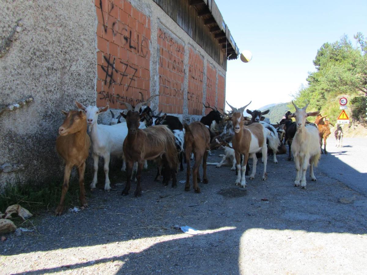 Casa de Férias Nostro Rifugio