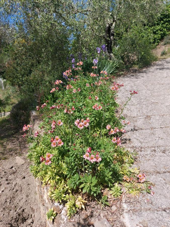 Nostro Rifugio * Apricale