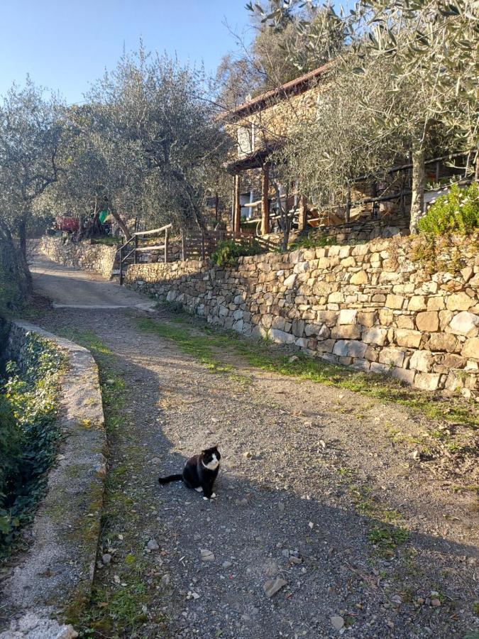 Casa de Férias Nostro Rifugio